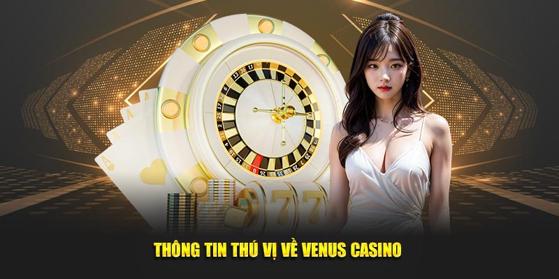 Thông tin thú vị về Venus Casino 